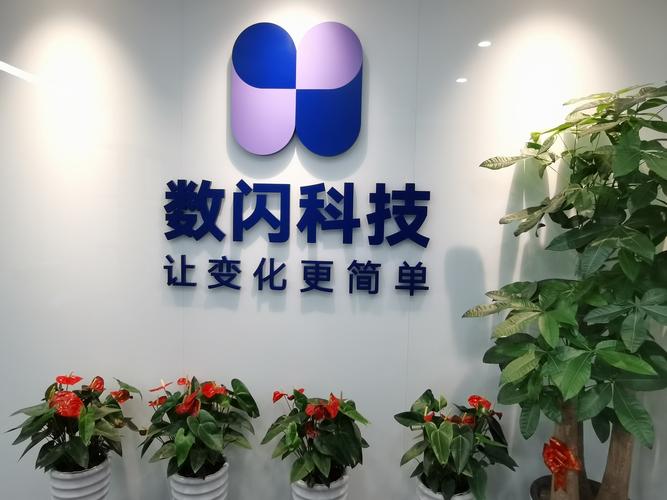 溫州數(shù)閃科技 立足計(jì)算機(jī)系統(tǒng)服務(wù)的卓越領(lǐng)航者